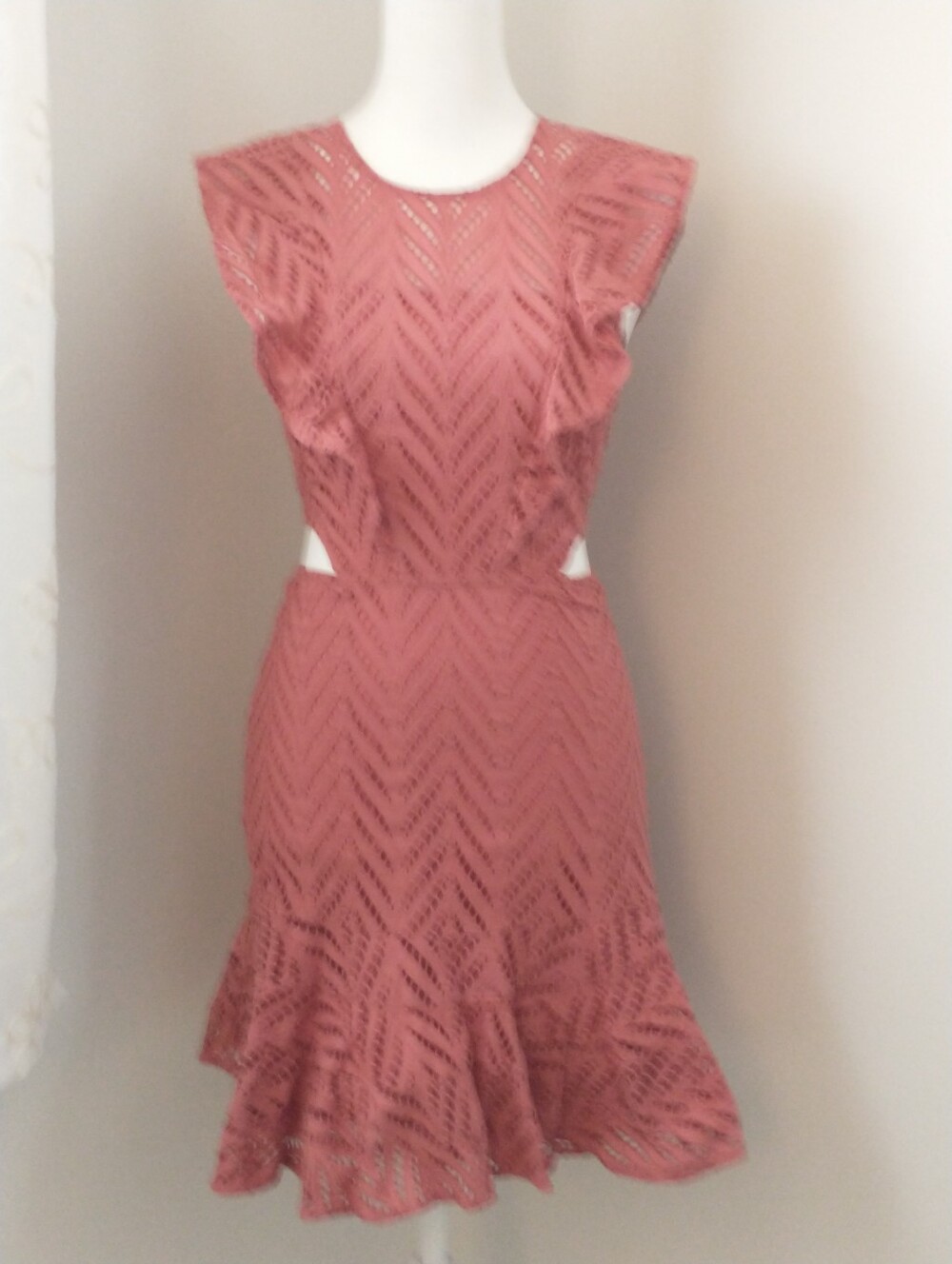 Bardot Rose Pink Eyelet Lace Ruffle Mini Dress 4